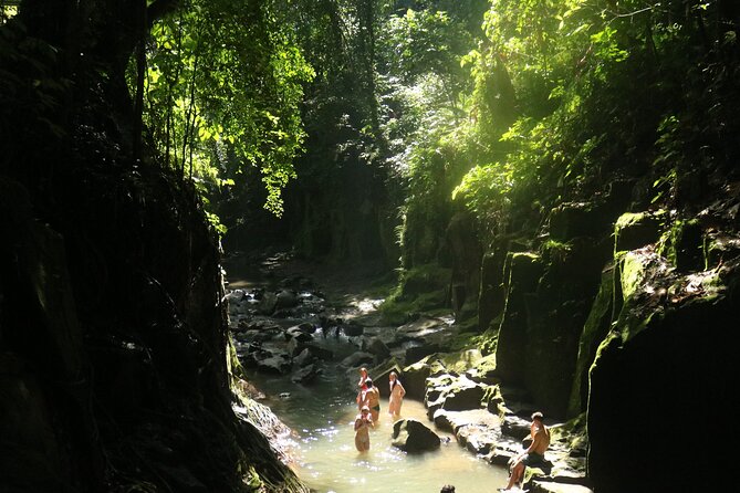 Bali Private Full Day Tour to Visit the Best Waterfalls and Swing near Ubud - Terrace River Pool Swing near Ubud: the photo moment plus the action menu
