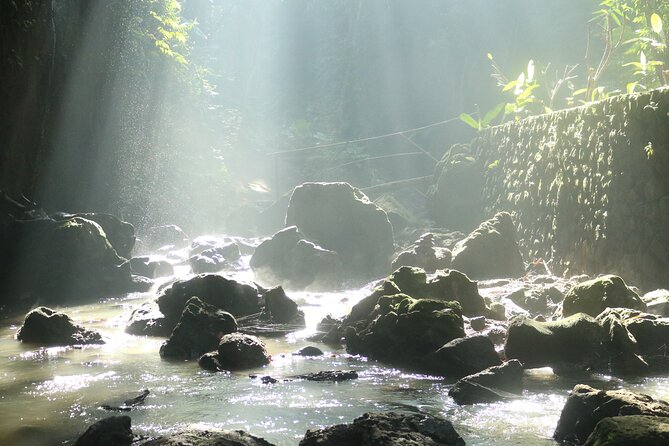 Bali Private Full Day Tour to Visit the Best Waterfalls and Swing near Ubud - Tegalalang Rice Terraces: a short stop you can make meaningful