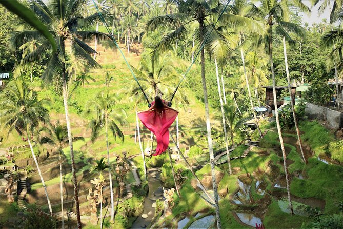 Bali Private Full Day Tour to Visit the Best Waterfalls and Swing near Ubud - Price and logistics: what the $77 per group actually buys