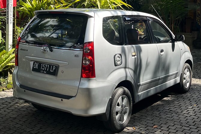 Bali Private Full Day Tour to Visit the Best Waterfalls and Swing near Ubud - Tegenungan Waterfall: the classic first stop for big Bali energy