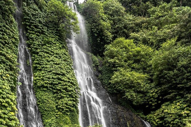 Bali : Private Fullday trip, Discover North Bali Destination - Jatiluwih Rice Terrace: Where North Bali Starts to Make Sense