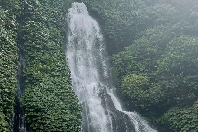 Bali : Private Fullday trip, Discover North Bali Destination - Fruit Markets and Optional Coffee Plantation: Taste the Day, Not Just See It