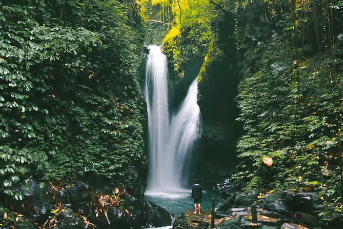 Bali : Private Fullday trip, Discover North Bali Destination - Banyumala Twin Waterfalls: The Swim Stop You’ll Actually Remember