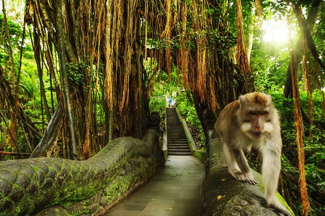 Bali Private inclusive tour: Best of Ubud in a Day - Stop 4: Sacred Monkey Forest Sanctuary for 600+ long-tailed monkeys (1 hour)