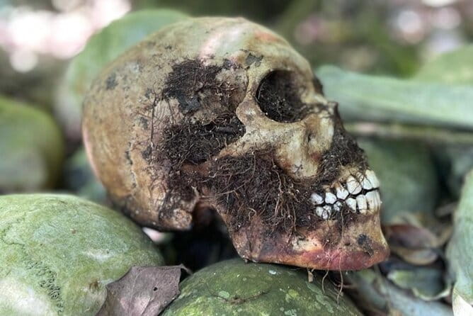 Bali Private Mystic Death Tour In Trunyan - Price and Value: Why It Costs $79 (and What You Get Back)