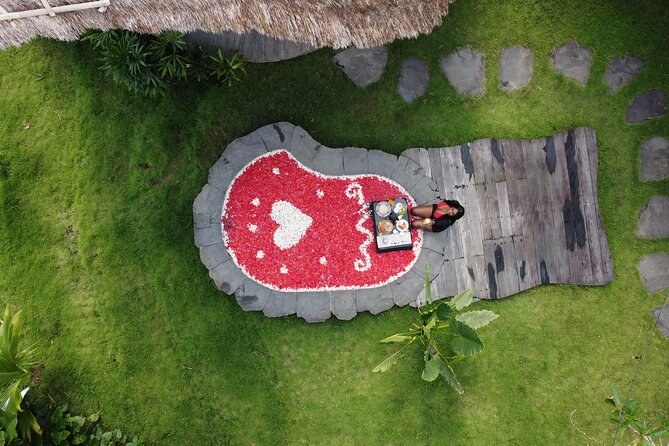 Bali Private Photographer & Drone - Why a private photographer with a drone makes Ubud easier