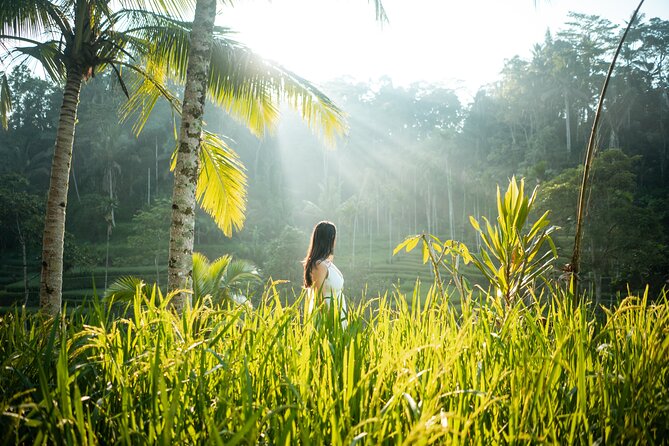 Bali Private Photographer & Drone - Drone photos: what you get, and what can block them