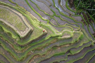 Bali Private Photographer & Drone - Your 2-hour shoot flow: rice terraces, swing, and coffee views