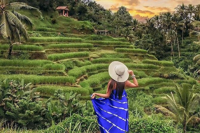 Bali Private Tour - Best of Ubud - All Inclusive - Tirta Empul Temple: holy water with a serious purpose