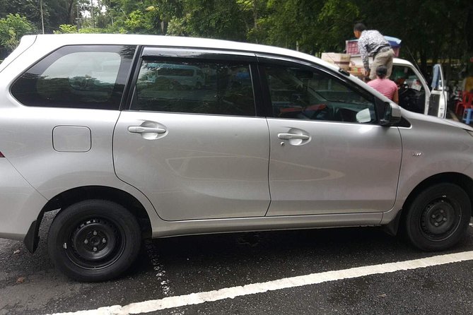 Bali Private Tour - Car with Driver - Price and Logistics: Is $80 Per Group Good Value?