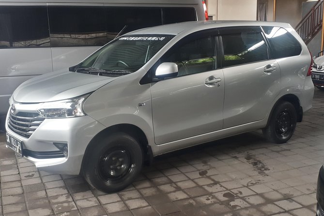 Bali Private Tour - Car with Driver - Who This Tour Is For (And Who Might Skip It)