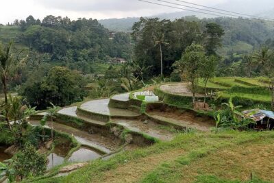 Bali Private Tour Guide And Driver - Where Your 8–10 Hour Day Can Go (Ubud Temples, Monkey Forest, Rice Terraces)