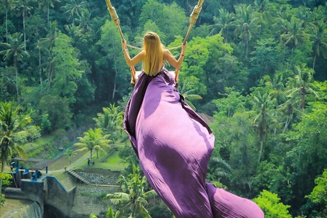 Bali Private Tour: Lempuyang Gate of heaven-Tirta gangga-Tukad Cepung - Lempuyang Temple and the Gate of Heaven: photos start with logistics