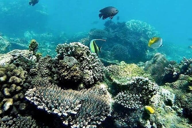 Bali Private Tour: Waterfall, Monkey forest and Tanah lot sunset - Included extras that quietly improve the day