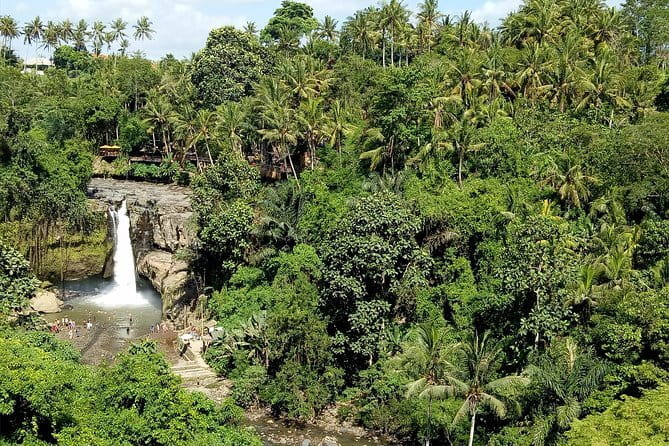 Bali Private Tour: Waterfall, Monkey forest and Tanah lot sunset - The Nusa Dua pickup and the rhythm of a well-paced day