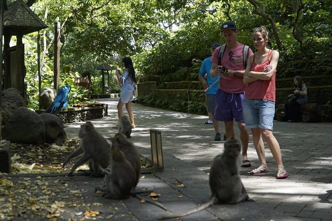 Bali Private Tour Waterfall with Tanah Lot Temple - From Seminyak to four icons: how the 10-hour route really works