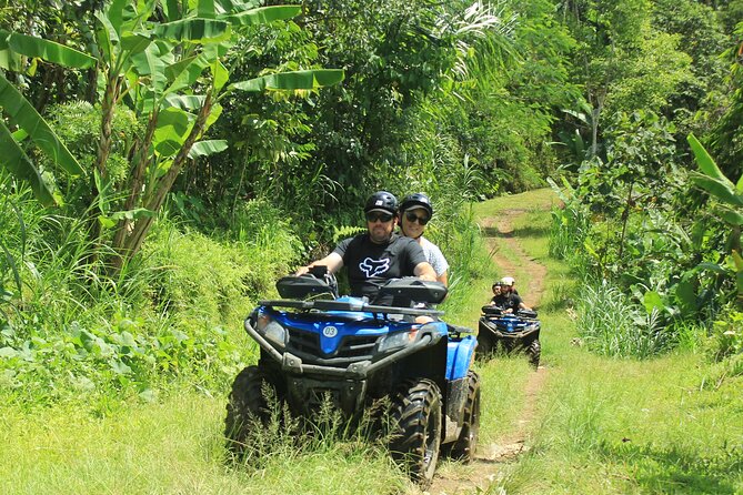 Bali Quad and Buggy Explorer Tour - Off-road ATV vs buggy in Ubud: what you actually drive