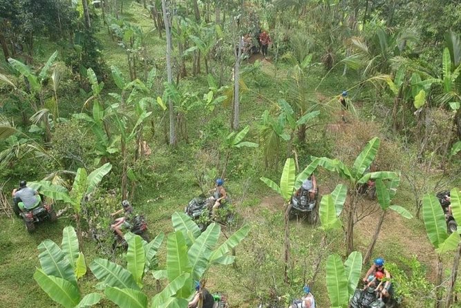 Bali Quad bike ATV passing through Waterfall, Cave & Rice fields - Price and Value: Is $37.90 a Good Deal?