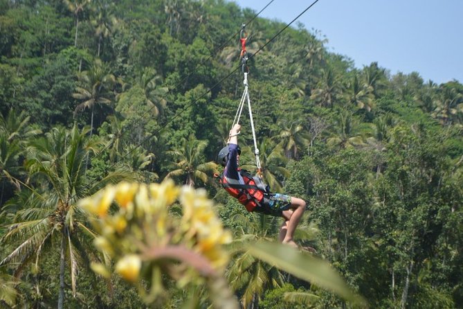 Bali Quad Bike ATV with Flying Fox - Price and value: is $80 worth it?