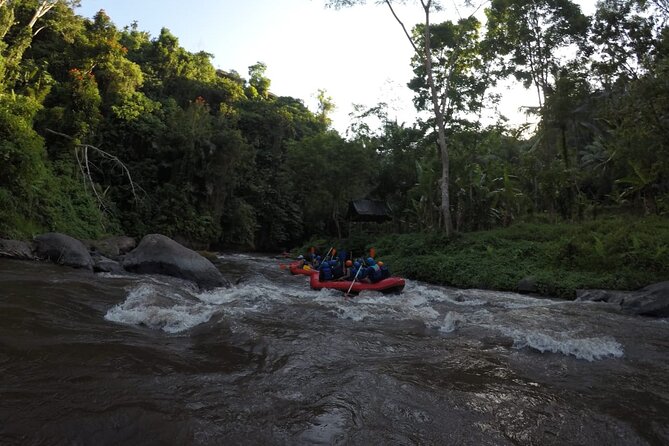 Bali Rafting - Who should book this Ayung River rafting trip