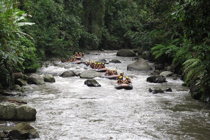Bali Rafting Ubud with Lunch - Lunch After Rafting: Buffet Food With Rice-Terrace Views