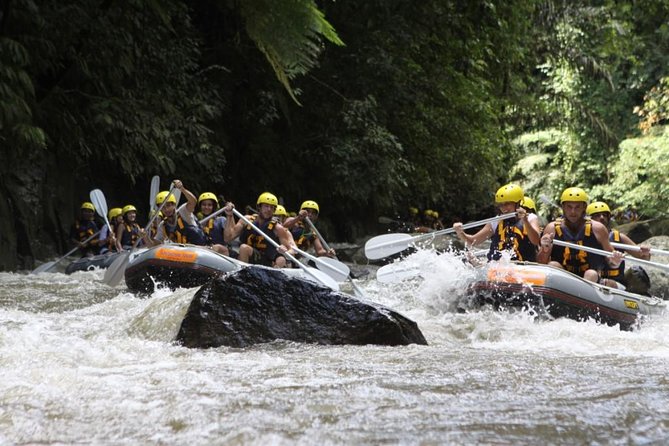 Bali Rafting Ubud with Lunch - Meeting at Jl. Raya Kedewatan No.43: What Happens Before You Hit the Water
