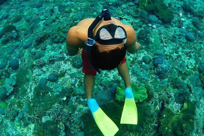 Bali Reef Cruise and Lembongan Island Day Trip - From Seminyak to Benoa: What the Day’s Timing Actually Means