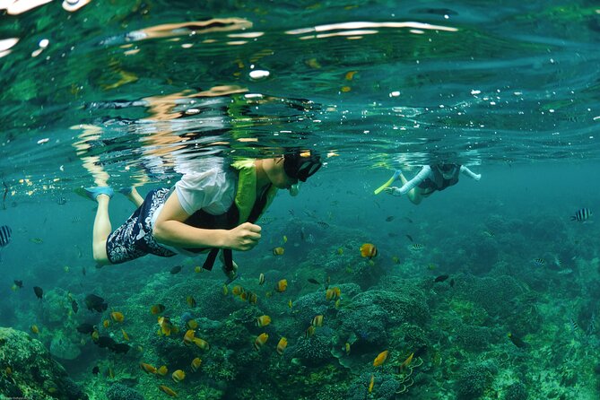 Bali Reef Cruise and Lembongan Island Day Trip - Underwater Viewing Without Getting Too Complicated: Semi-Submersible Coral Viewing and Aquanauts