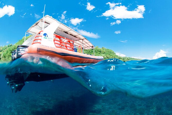 Bali Reef Cruise and Lembongan Island Day Trip - Benoa Harbour and the Bali Hai Pontoon Setup: Efficient, Not Fancy