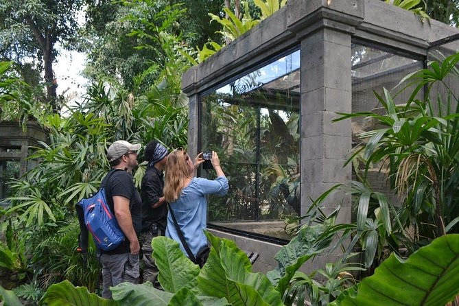 Bali Reptile Park Entrance Ticket - The reptile encounter and show: where it gets fun