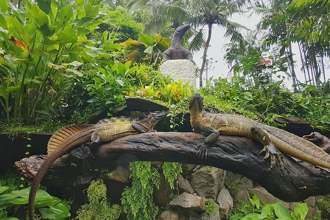Bali Reptile Park Entrance Ticket - Guides make or break the experience: Widya and Rama’s impact