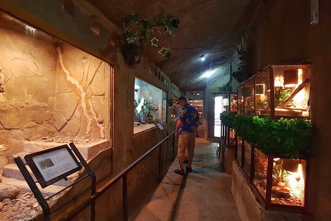 Bali Reptile Park Entrance Ticket - A balanced look at animal welfare concerns