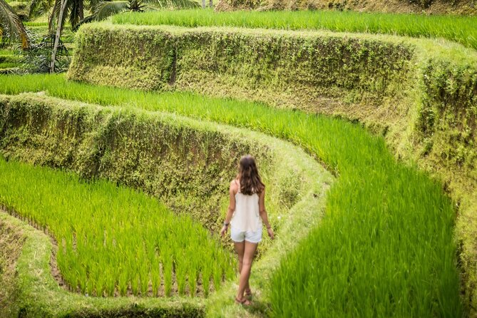 Bali Rural Village Bike - Why this Bali rural bike day feels different in real life