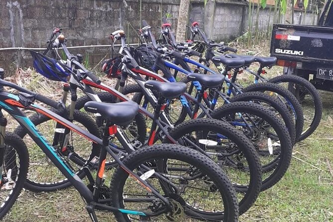 Bali Rural Village Bike - Rice paddies and rural lanes: what you’re really seeing as you pedal