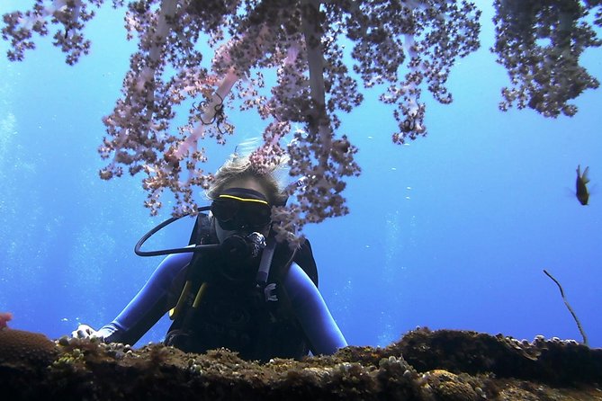 Bali Scuba Diving trip at Tulamben for Certified Diver - The morning schedule from South Bali to Tulamben’s coast