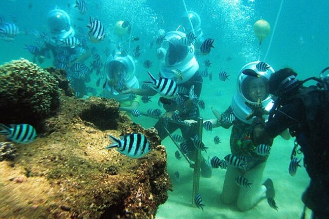 Bali Sea Walker - Walking the Ocean Floor: Expect Fish Up Close