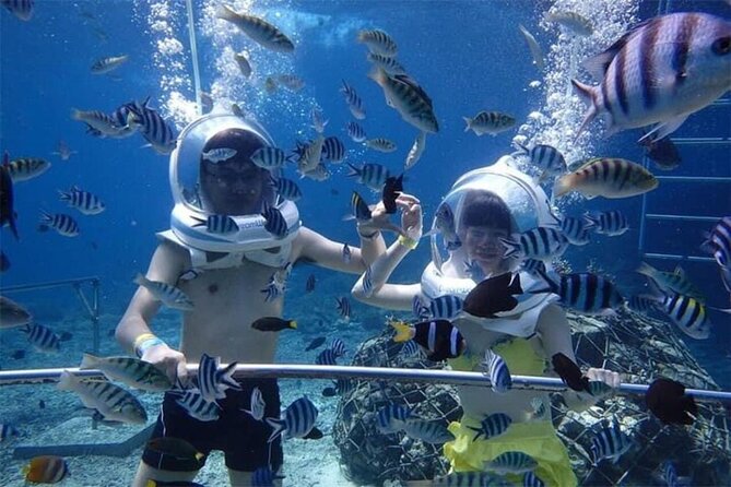 Bali Sea Walker Under Water Experience With Hotel Transfer - Sea Walker in Tanjung Benoa: what happens under the helmet