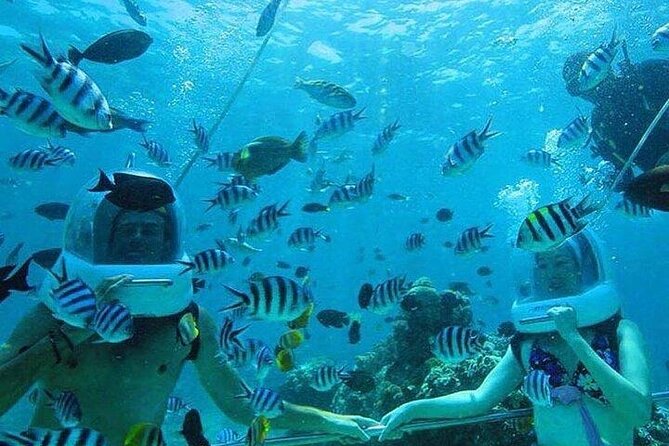 Bali Sea Walker Under Water Experience With Hotel Transfer - Price and value: why $32.50 can be a smart Bali day