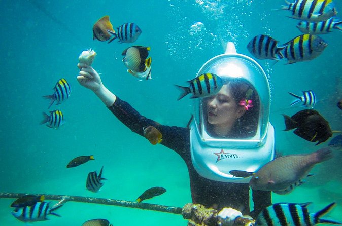 Bali Sea Walker Under Water Experience With Hotel Transfer - What to expect day-of: groups, supervision, and the pace you control