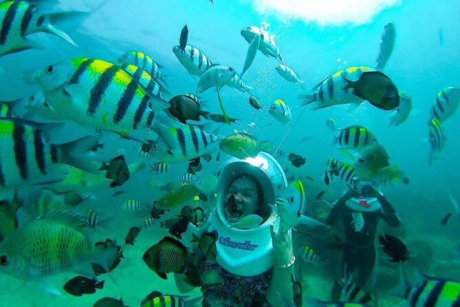 Bali Sea Walker Under Water Experience With Hotel Transfer - Should you book Sea Walker with hotel transfer?