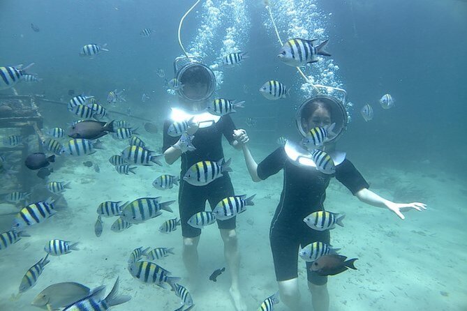 Bali Sea Walker Under Water Experience With Hotel Transfer - The 30-minute walk: slow pace, coral sightings, and fish at arm’s length