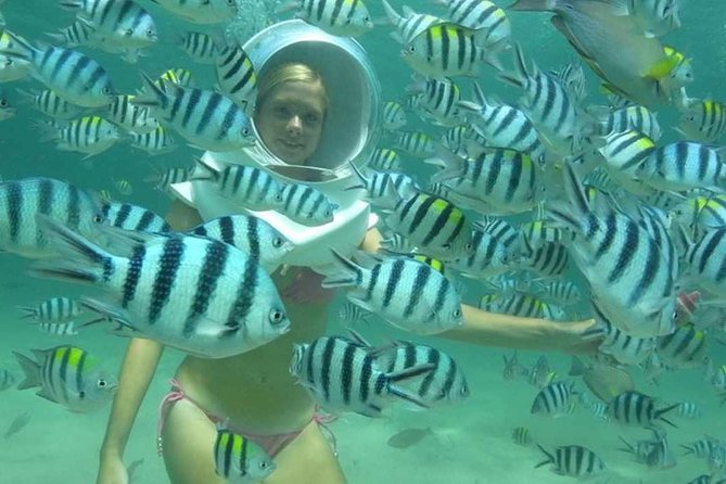 Bali Sea Walking Experience - What Sea Walking at Tanjung Benoa Feels Like
