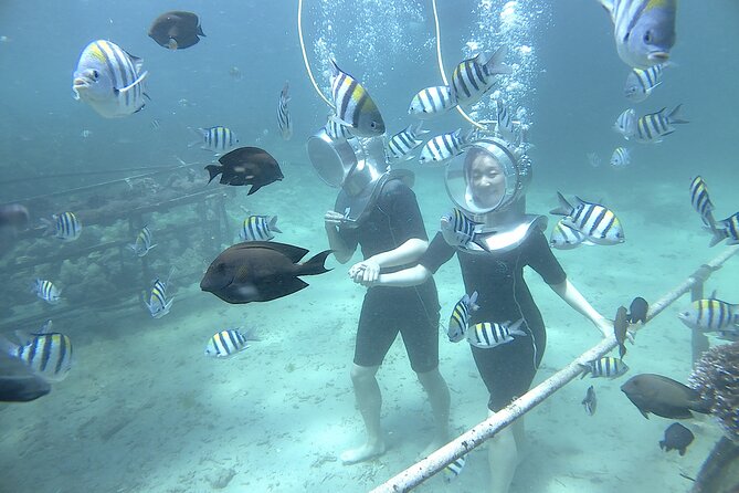 Bali Seawalker - The Clear Helmet and Air System: Comfort, Safety, and Ear Equalizing