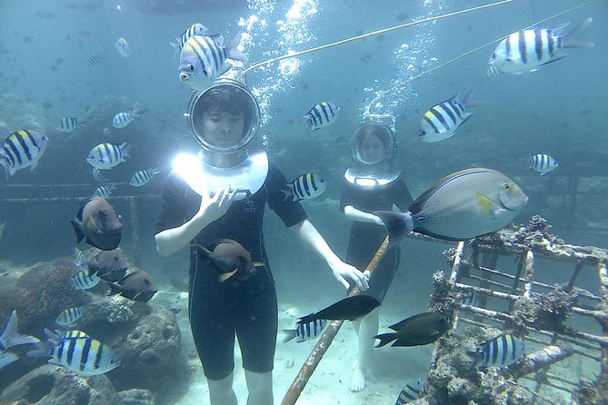 Bali Seawalker - What You’ll See at Blue Beach: Coral and Fish Close to You