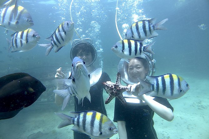 Bali Seawalker - What I’d Pay Attention to Before You Go