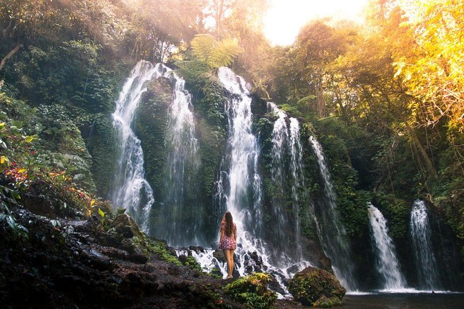 Bali Secret Waterfall Tour - Private and All-Inclusive - Banyumala Twin Waterfalls: Tropical Plants and Pool Time