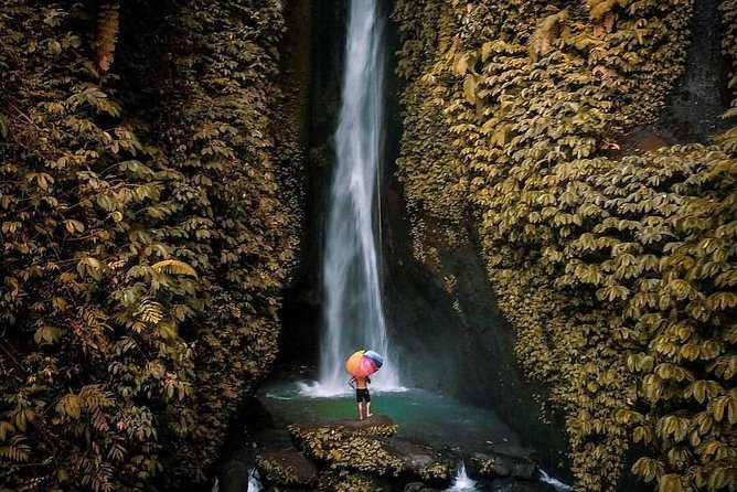 Bali Secret Waterfall Tour - Private and All-Inclusive - Monkey Forest, Ubud Drives, and Photo Stops on the Way Back