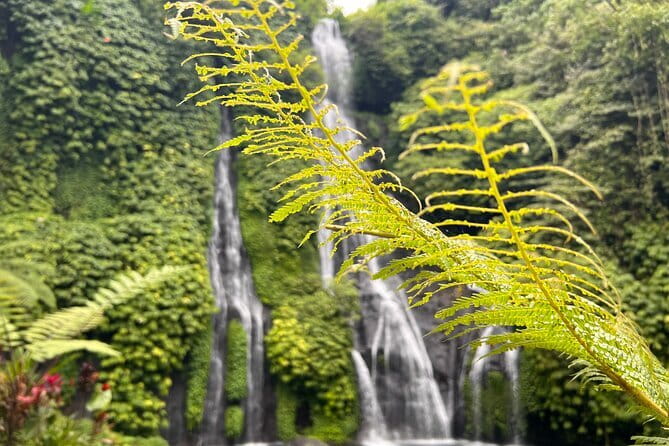 Bali Secret Waterfalls: Banyumala & Leke Leke Waterfalls - A Private North Bali Day from Ubud: How the 9:00 Start Plays