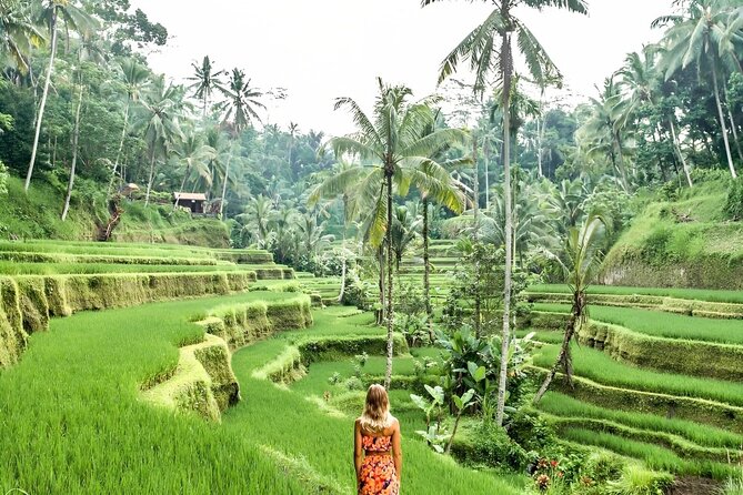 Bali Shore Excursions : Best of Bali Tour - Ubud’s spiritual-and-cultural stops: why a narration-driven day helps