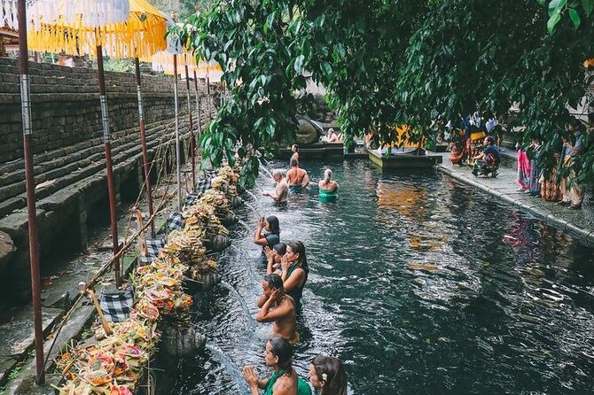 Bali Sightseeing - Monkey Forest Sanctuary: Long-tailed macaques and temple-with-nature vibes